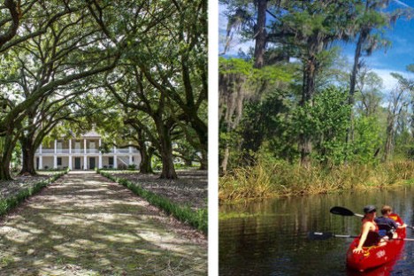 photo collage of swamp and southern plantation