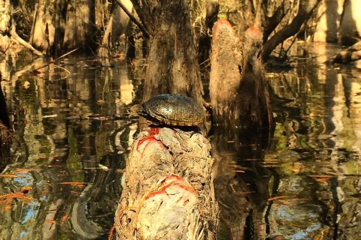 a person standing next to a waterfall