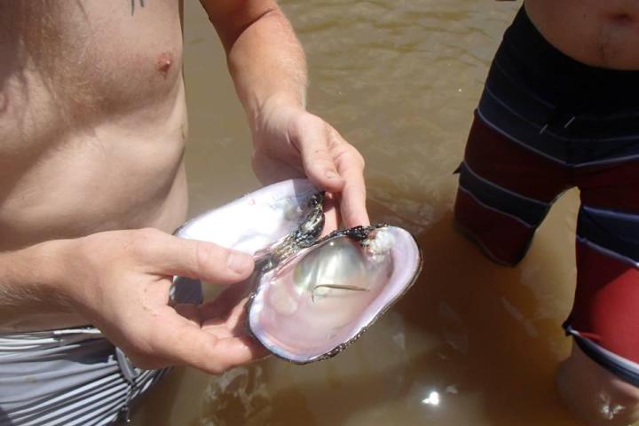 a hand holding a water bottle