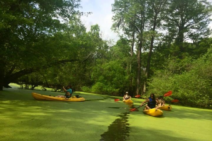 a group of people riding on the back of a boat