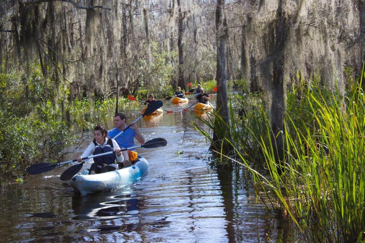 a group of people riding on the back of a boat in the water