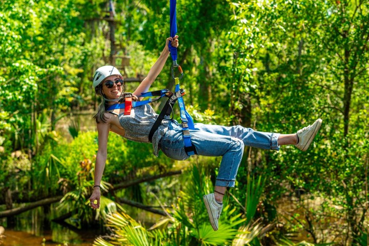 a person standing next to a forest