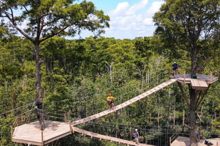 a person standing next to a tree